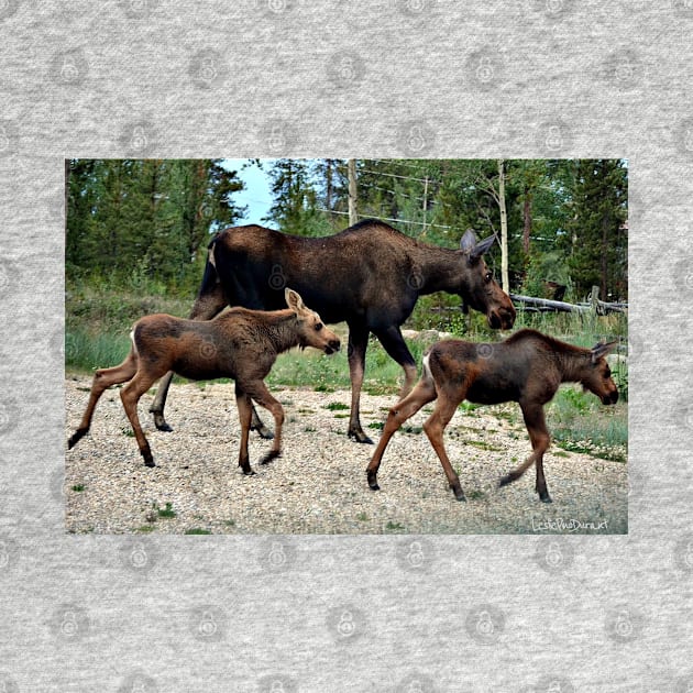 Mama Moose and Her Twins by Leslie Pino Durant